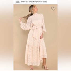 Red Dress Boutique Ivory Long Sleeve Lace Maxi Dress